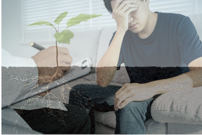 Symptom-Based Diagnosis