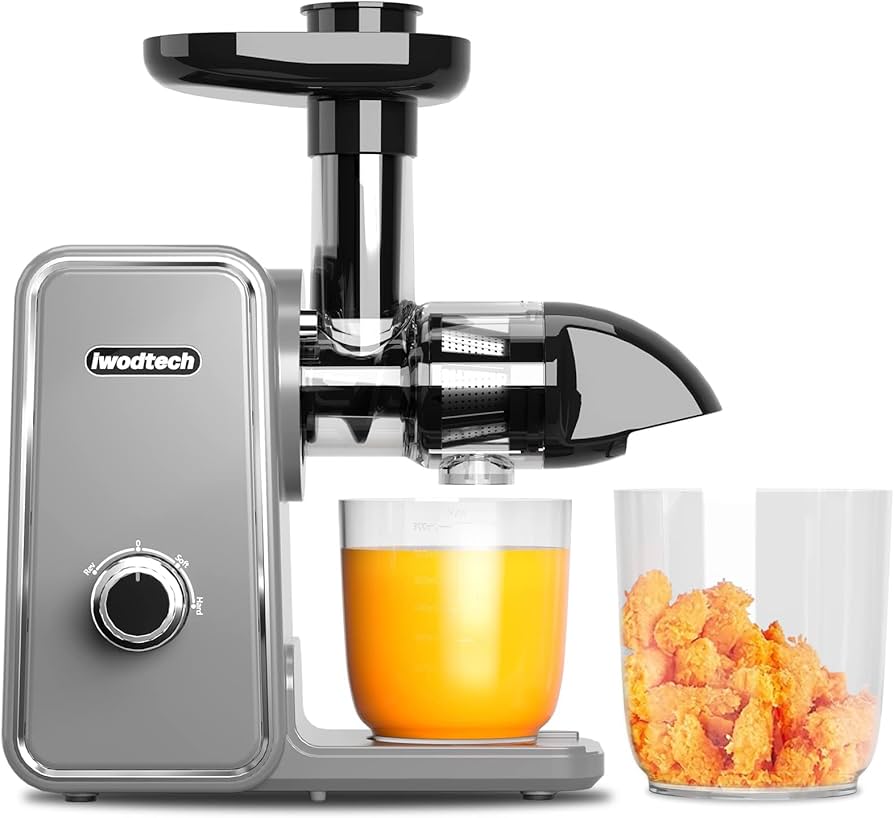 Masticating Juicer (Slow Juicer)