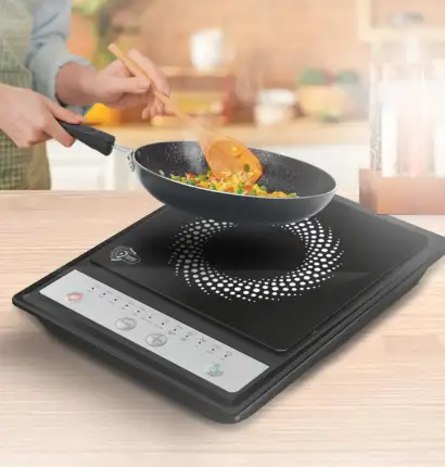 Single Zone Induction